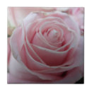 Suche nach niedliche rosen fliesen Wohngestaltung