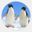 Suche nach pinguin hochzeit aufkleber Paar