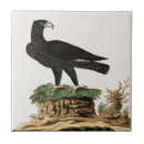 Suche nach vintage malerei fliesen Natur
