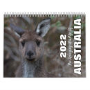 Suche nach känguru kalender Tierwelt