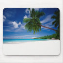 Suche nach seychellen mousepads Palme