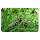 Suche nach beine magnete Flügel