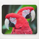 Suche nach tropische tiere mousepads Wild
