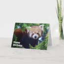 Suche nach roter panda alle karten Niedlich