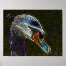 Suche nach swan poster Natur