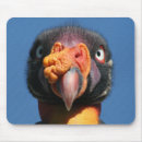 Suche nach könig mousepads Vogel