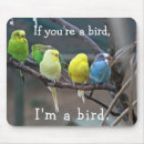 Suche nach parakeet elektronik zubehör Vögel