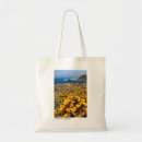 Suche nach kalifornien taschen Reisen