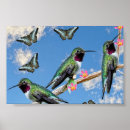 Suche nach drei tiere poster Blume