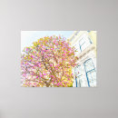 Suche nach magnolienbaum Blüten