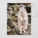 Suche nach kalahari poster Natur