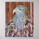 Suche nach seeadler poster Tierwelt