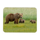 Suche nach kneipen magnete Wildtiere