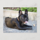 Suche nach schweißer postkarten Schweißen