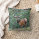 Suche nach geweih kissen Cervus canadensis