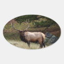 Suche nach wild ovale aufkleber Tiere