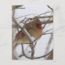 Suche nach weiblich postkarten Männlich