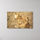 Suche nach serengeti leinwandbilder Wild lebende tiere
