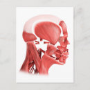 Suche nach physiologie postkarten Myologie
