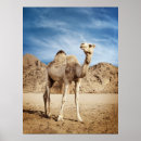 Suche nach camel kunst poster Desert