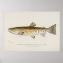 Suche nach fisch kunst poster Vintag