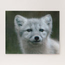 Suche nach ausrüstung puzzle Fotografie