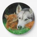 Suche nach freundschaft teller Niedlich