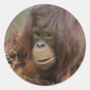 Suche nach heu aufkleber Strohhalm