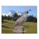 Suche nach vogel kalender Wachteln