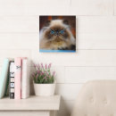 Suche nach fluffy wanduhren Pet