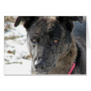 Suche nach gekreuzt karten Winter