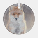 Suche nach fuchs ornamente Winter