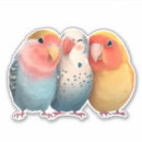 Suche nach vogelaufkleber Tier