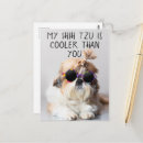 Suche nach sonnenbrille postkarten Tiere