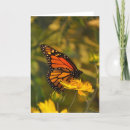 Suche nach monarchfalter karten Natur