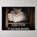 Suche nach tierschutz poster Adoptier