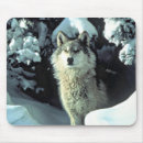 Suche nach grauwölfe mousepads Wildtiere