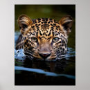 Suche nach exotische katzen poster Leopard
