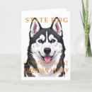 Suche nach schlittenhunde karten Sibirischer husky