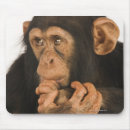 Suche nach schimpansen mousepads Niedlich