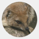 Suche nach mongoose aufkleber Tiere