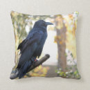 Suche nach rabe kissen Schwarzes