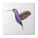 Suche nach hummingbird fliesen Natur