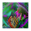 Suche nach blasen fliesen Orange