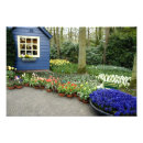 Suche nach dutch poster Netherlands