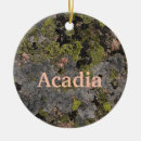 Suche nach hafen ornamente Acadia