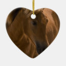 Suche nach kastanie ornamente Pferd