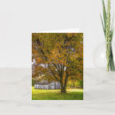 Suche nach herbstbäume karten Baum