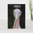 Suche nach verrückte hühner karten Lustig