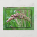 Suche nach unschärfe postkarten Regen